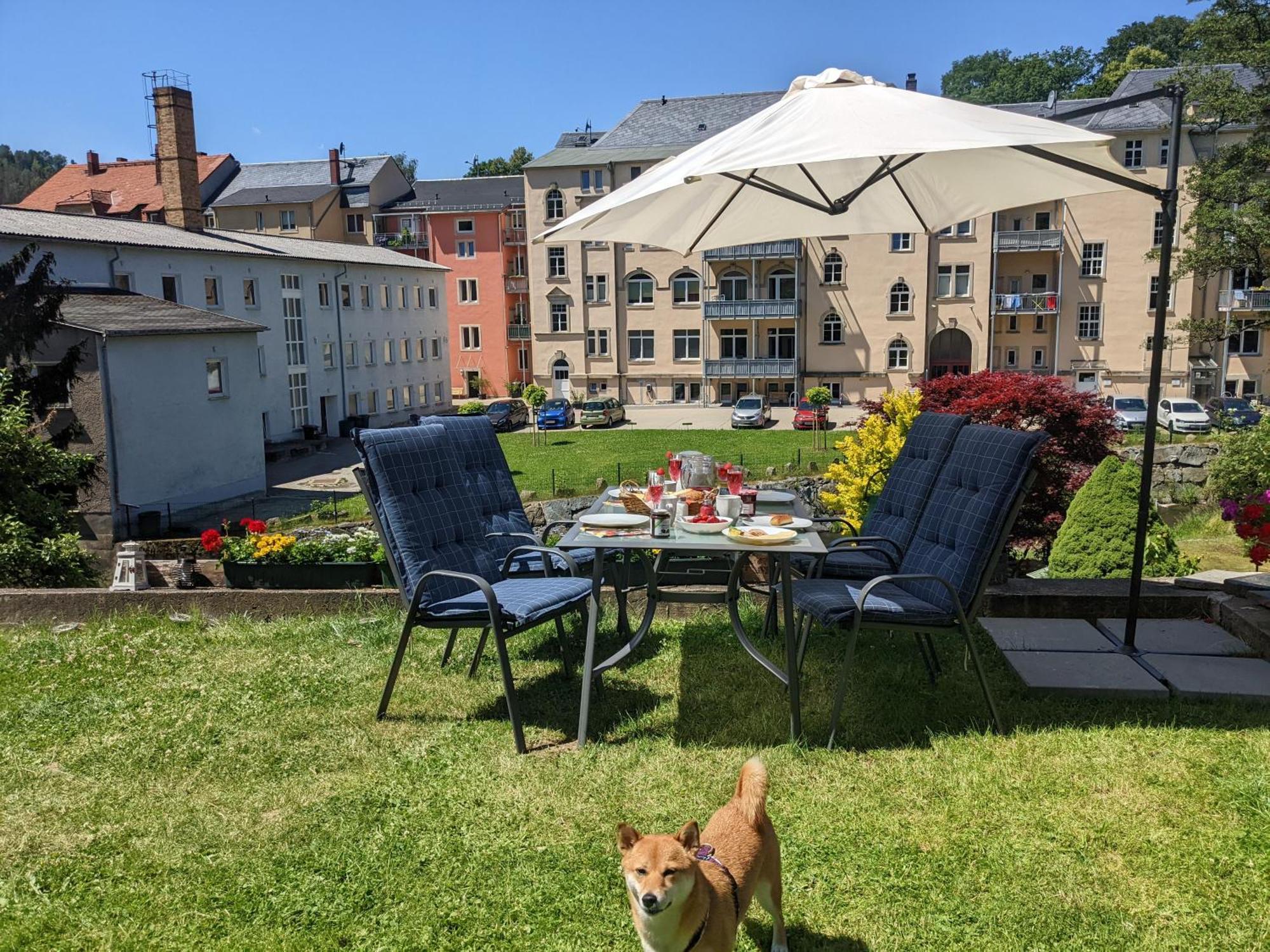 Hw2B - Urlaubsmagie - Wohlfuehlwohnung Mit Balkon, Pool, Sauna & Terrasse Sebnitz Exteriör bild