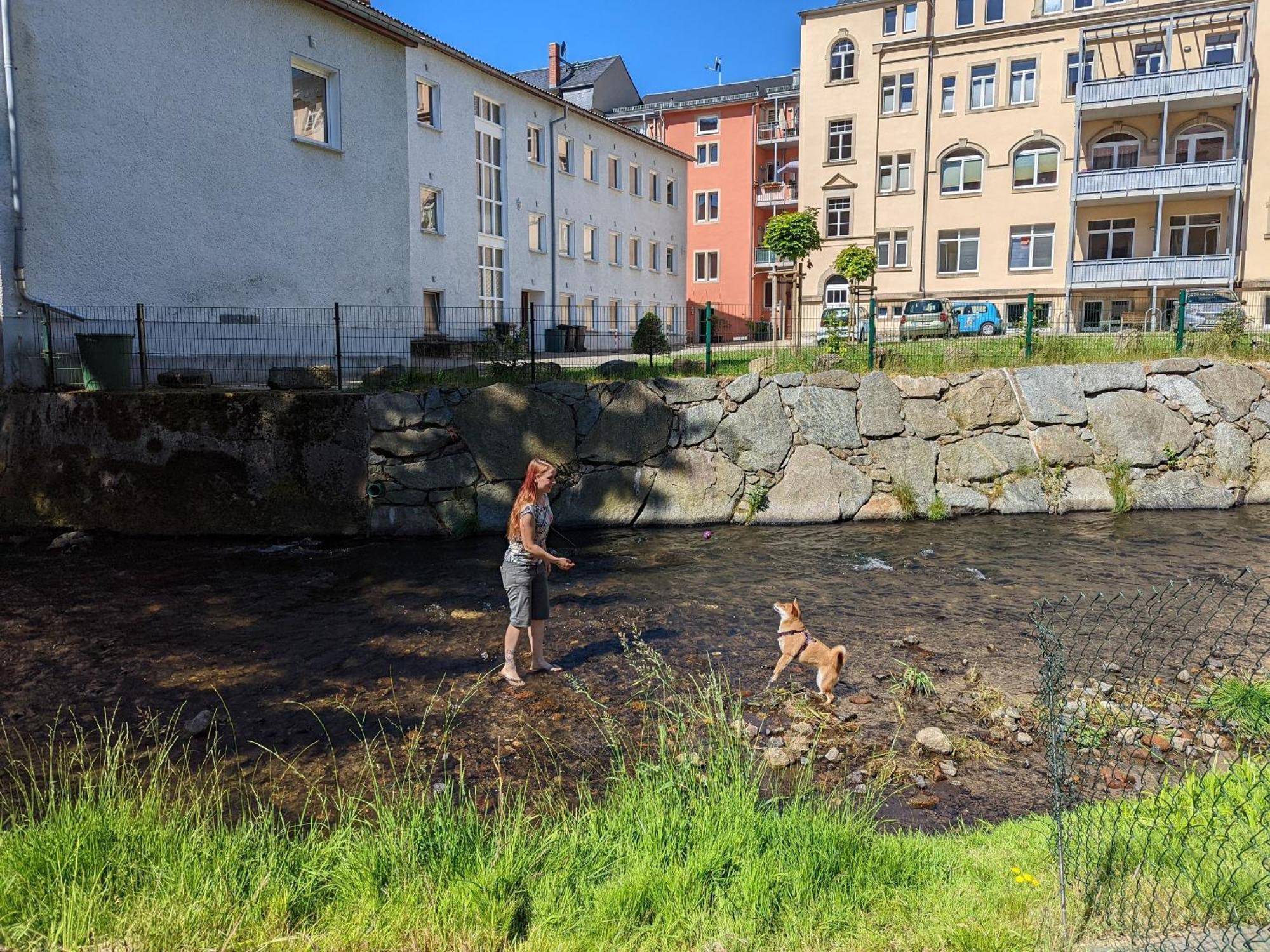 Hw2B - Urlaubsmagie - Wohlfuehlwohnung Mit Balkon, Pool, Sauna & Terrasse Sebnitz Exteriör bild