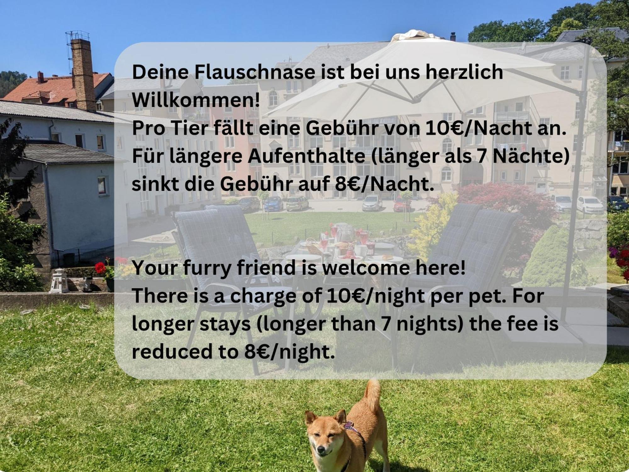 Hw2B - Urlaubsmagie - Wohlfuehlwohnung Mit Balkon, Pool, Sauna & Terrasse Sebnitz Exteriör bild